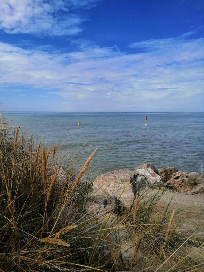 Le Cocon Des Dunes Quend Kültér fotó
