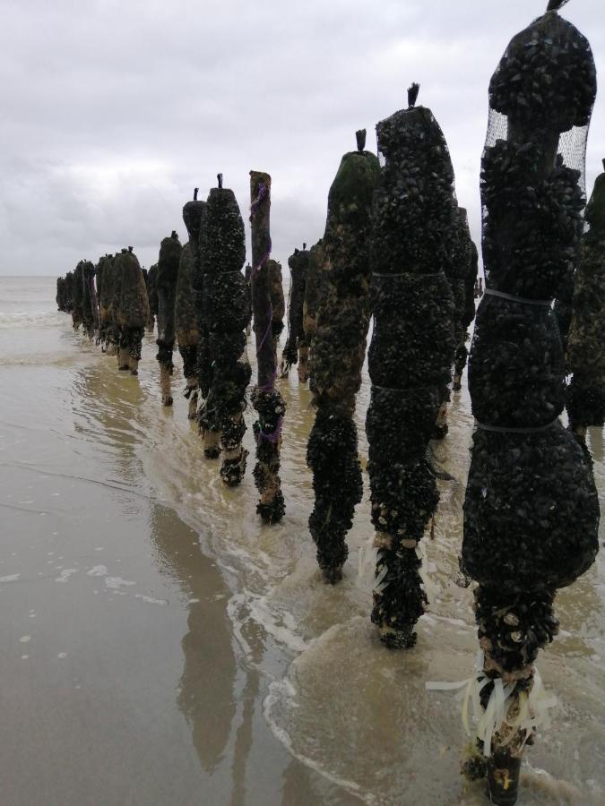 Le Cocon Des Dunes Quend Kültér fotó